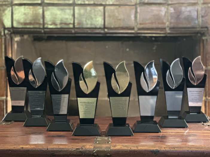 Catalyst Campaigns Wins 9 Pollie & Reed Awards in 2024